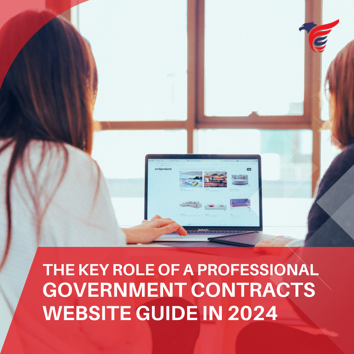 Professional Government Contracts Website Guide in 2024
